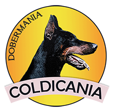 Coldicania