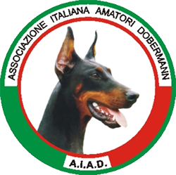 logo_aiad