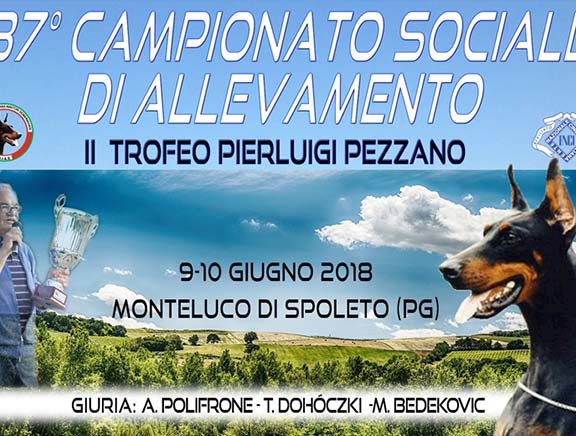 campionato_2018