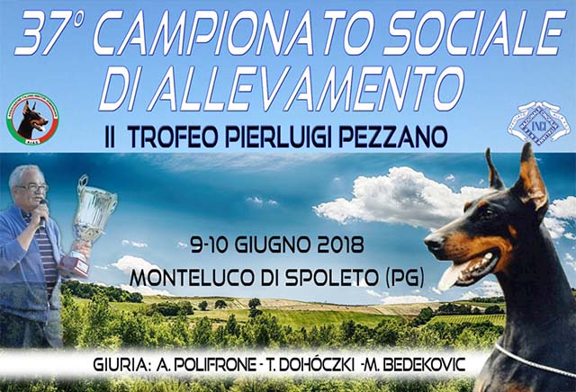 campionato_2018