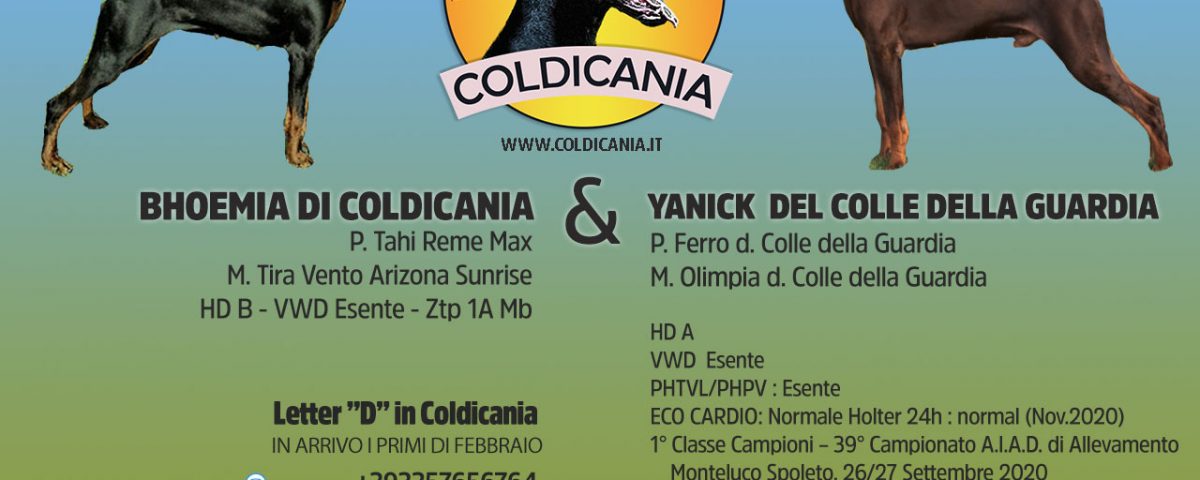 coldicania-cuccioli-2022