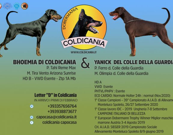 coldicania-cuccioli-2022